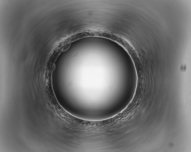 X0000099581016200805161230