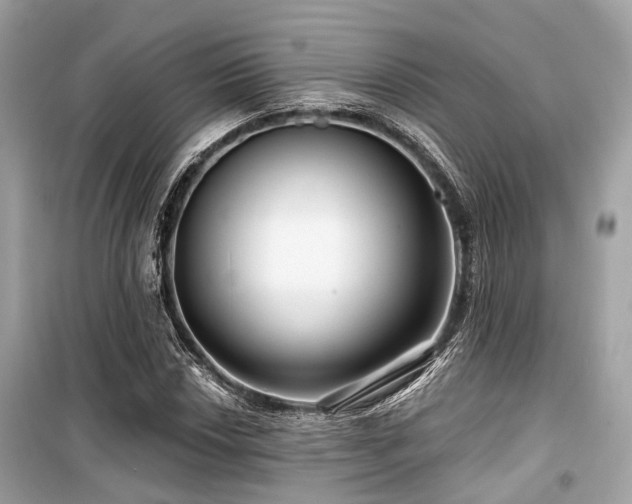 X0000099581018200805161230