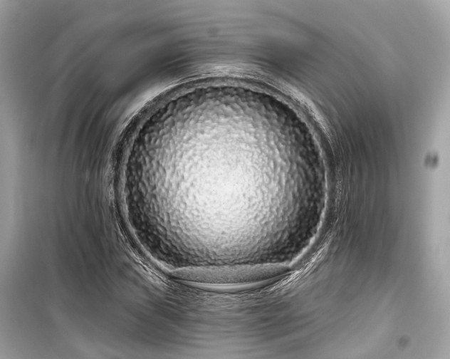 X0000099581019200805161230