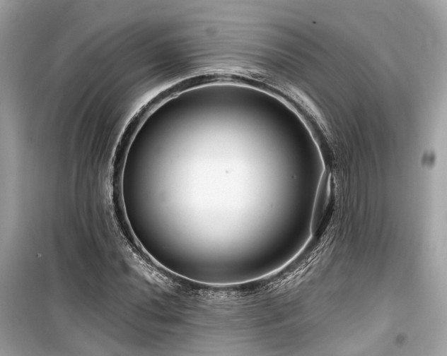 X0000099581020200805161230