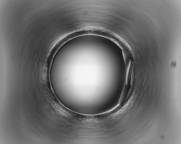 X0000099581021200805161230