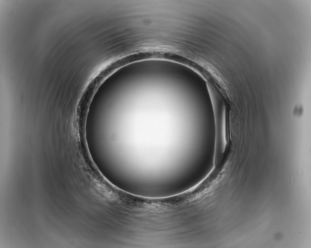 X0000099581022200805161230