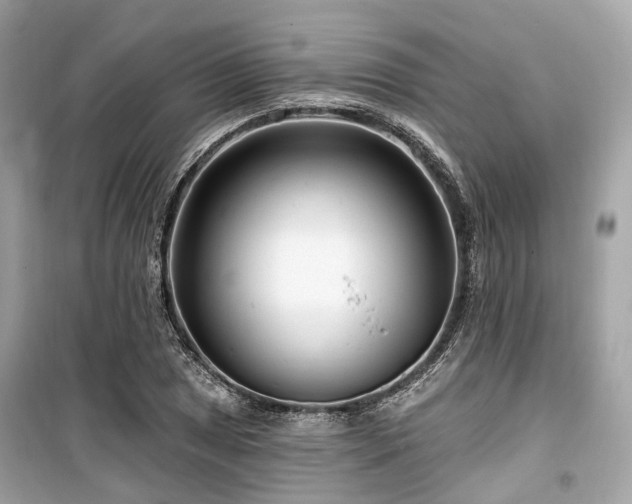 X0000099581025200805161230