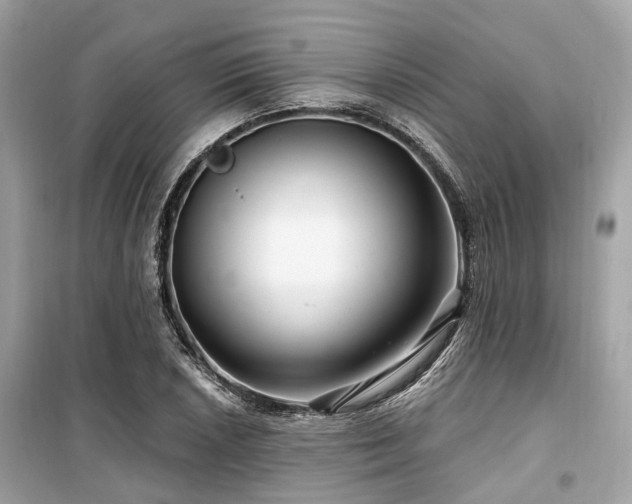 X0000099581026200805161230