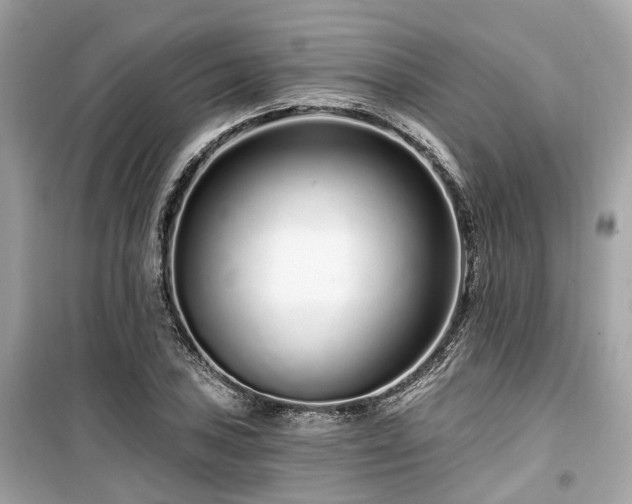X0000099581027200805161230