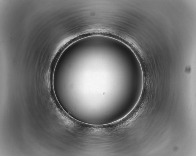 X0000099581030200805161230