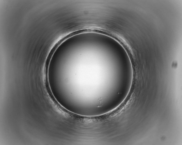 X0000099581032200805161230