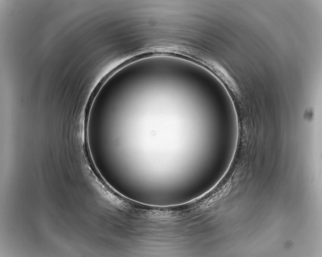 X0000099581036200805161230