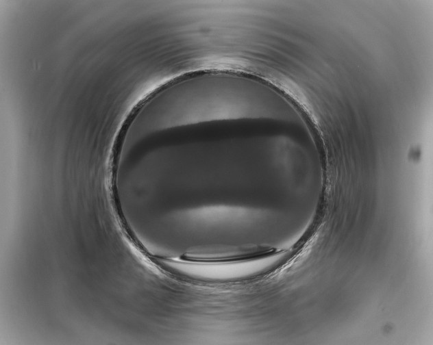 X0000099581037200805161230