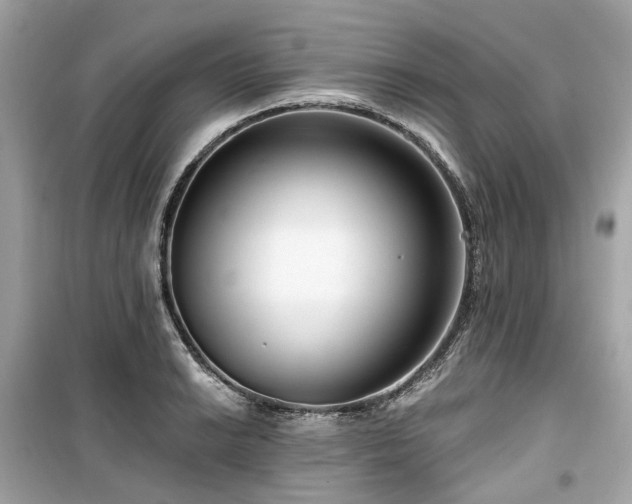 X0000099581038200805161230