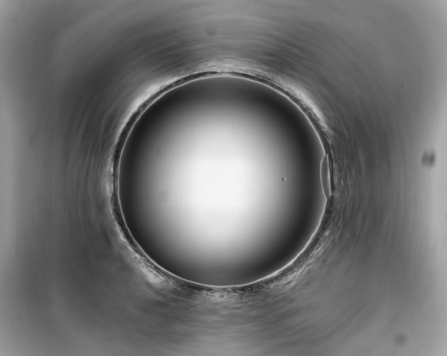 X0000099581040200805161230