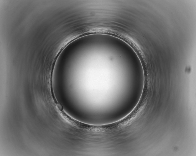 X0000099581041200805161230