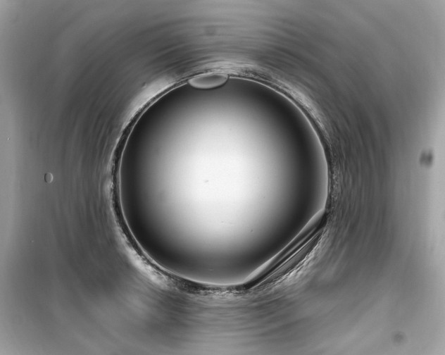 X0000099581042200805161230