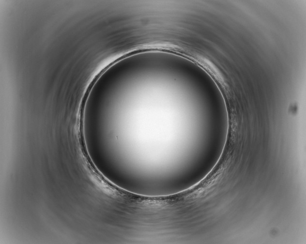 X0000099581044200805161230