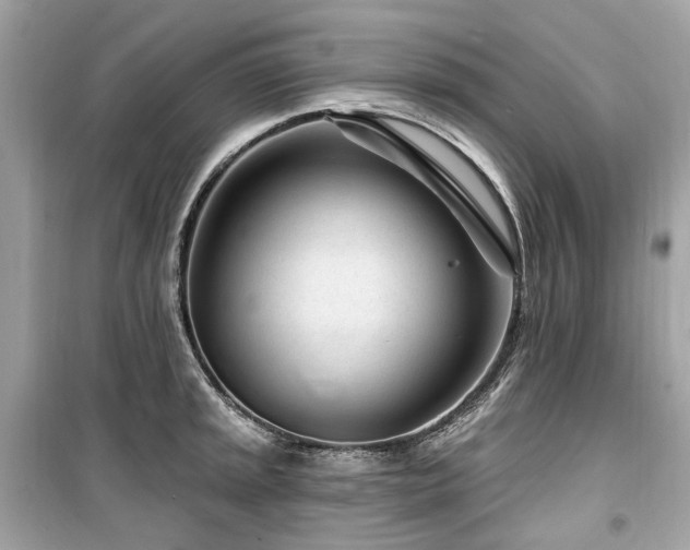 X0000099581045200805161230