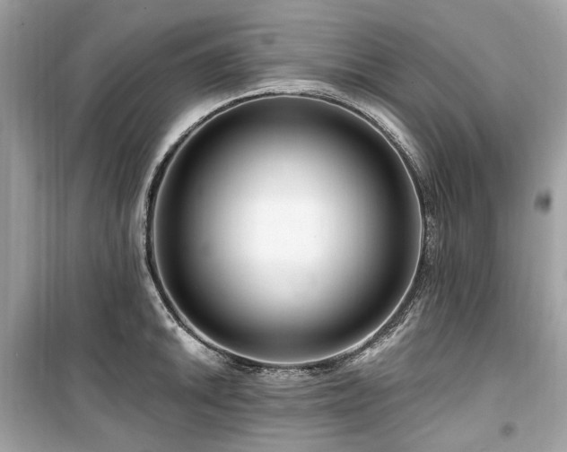 X0000099581046200805161230