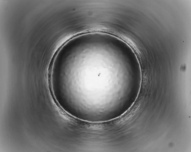 X0000099581047200805161230