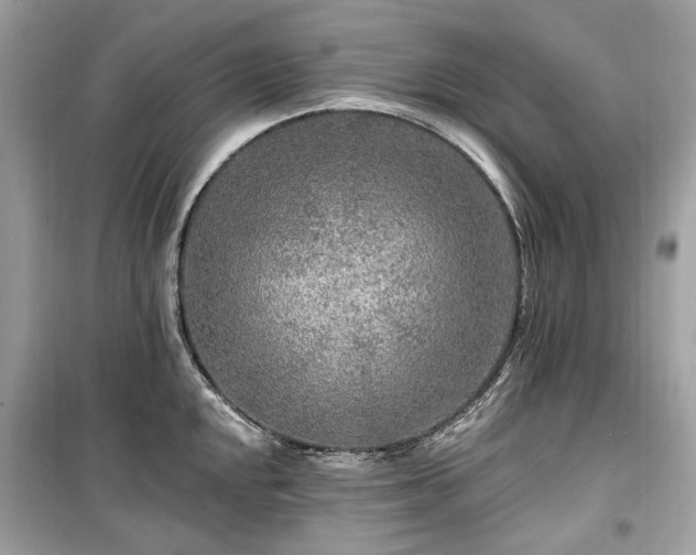 X0000099581048200805161230