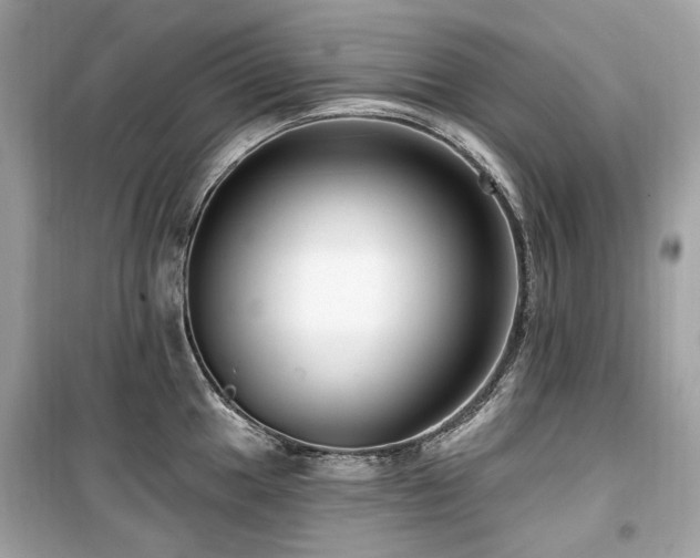 X0000099581049200805161230