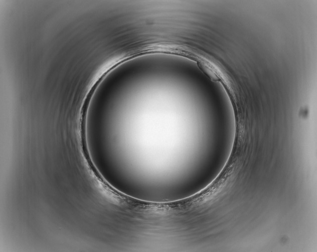 X0000099581050200805161230