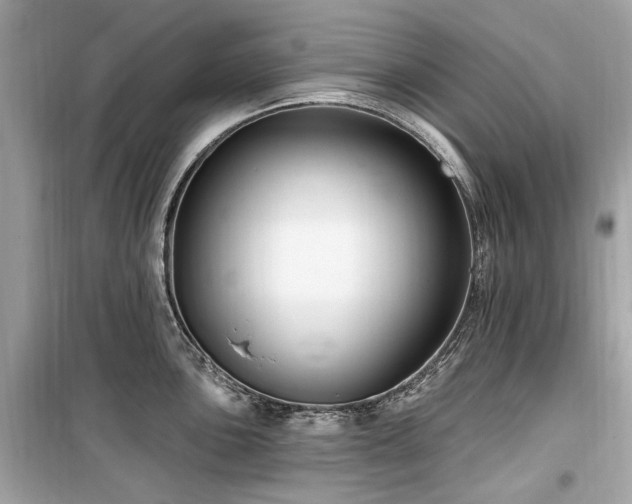 X0000099581051200805161230