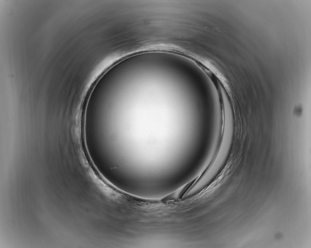 X0000099581054200805161230