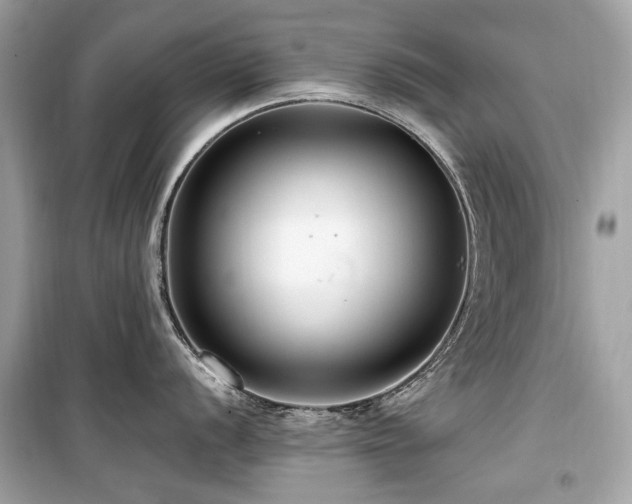 X0000099581056200805161230