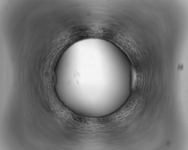 X0000099581057200805161230