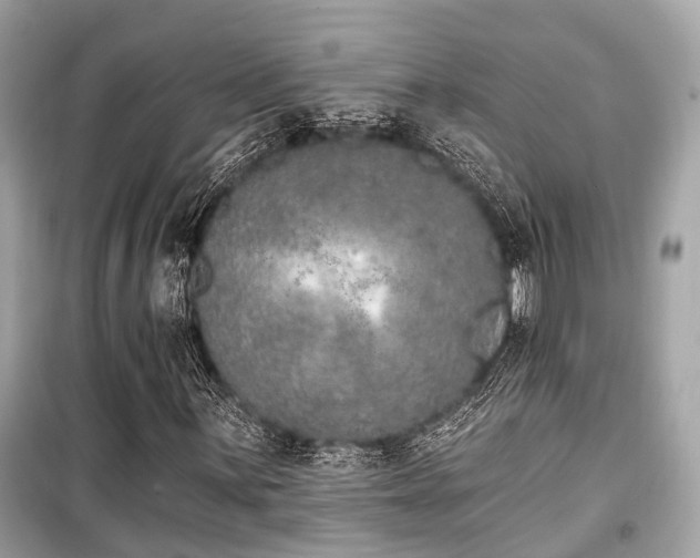 X0000099581059200805161230