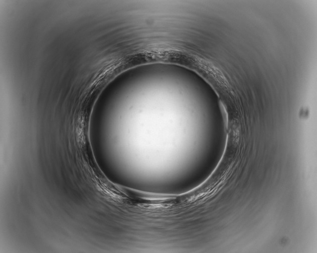 X0000099581060200805161230