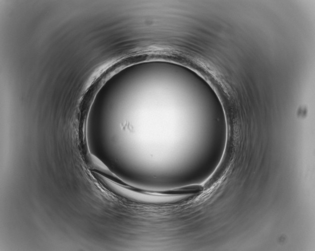 X0000099581066200805161230