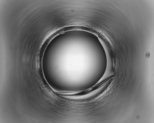X0000099581069200805161229