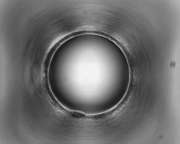 X0000099581070200805161229