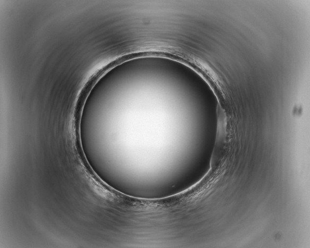 X0000099581072200805161229