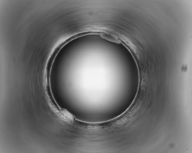 X0000099581080200805161229