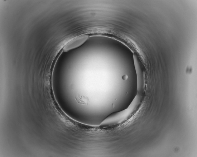 X0000099581081200805161229