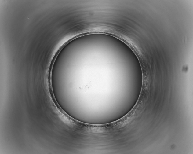 X0000099581086200805161229