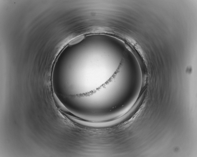 X0000099581089200805161229
