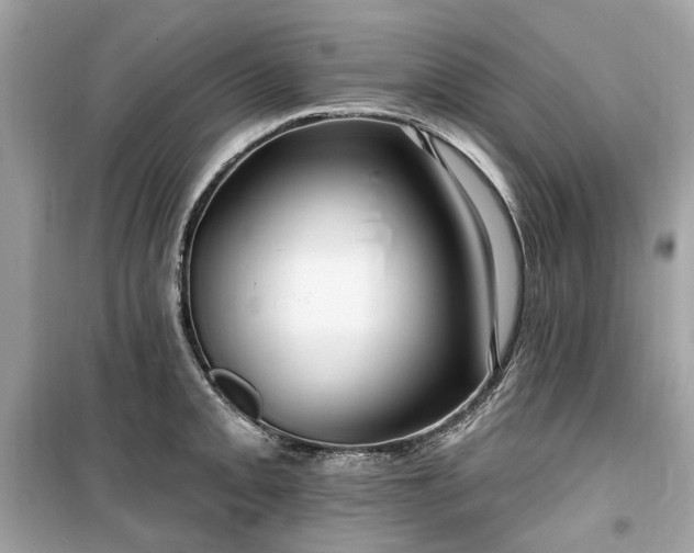 X0000099581093200805161229