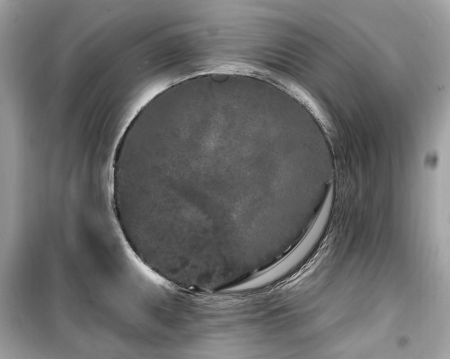 X0000099581095200805161229