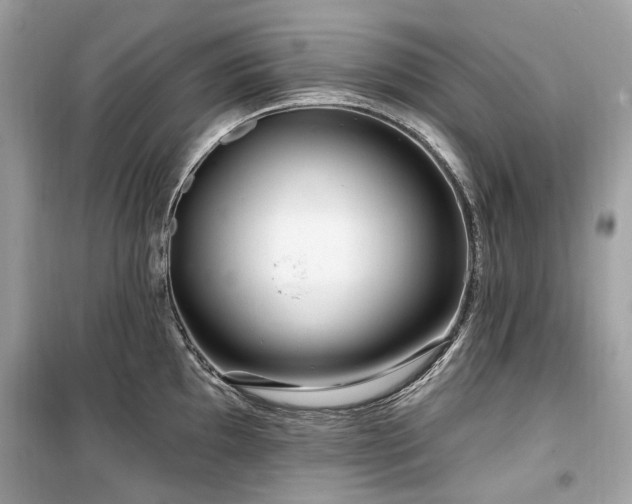 X0000099581097200805161229
