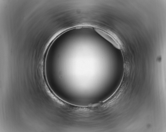 X0000099581100200805161229