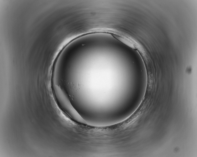X0000099581102200805161229