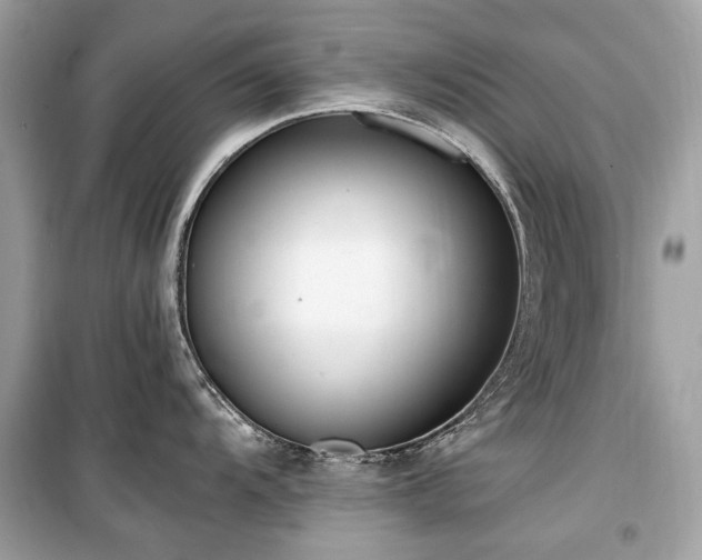 X0000099581104200805161229