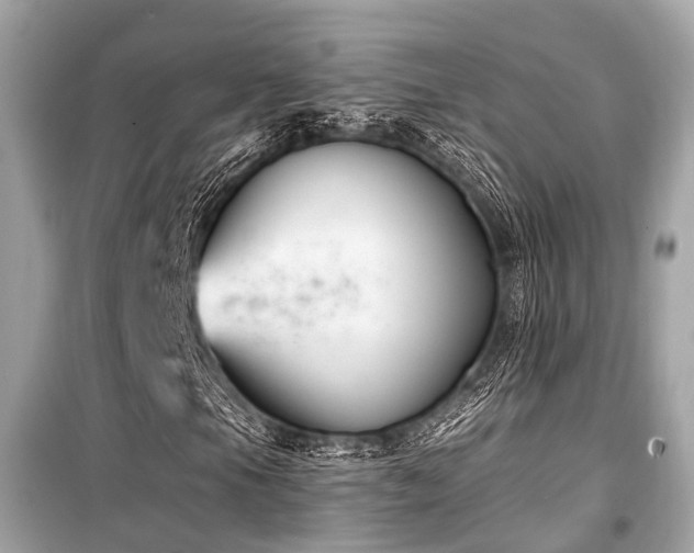 X0000099581105200805161228