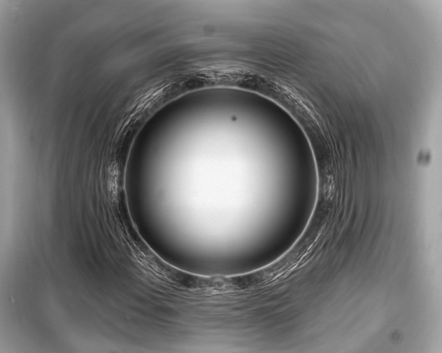 X0000099581108200805161228