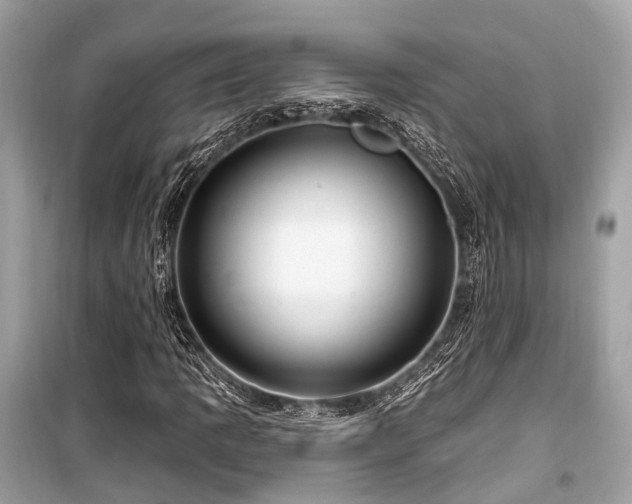 X0000099581109200805161228