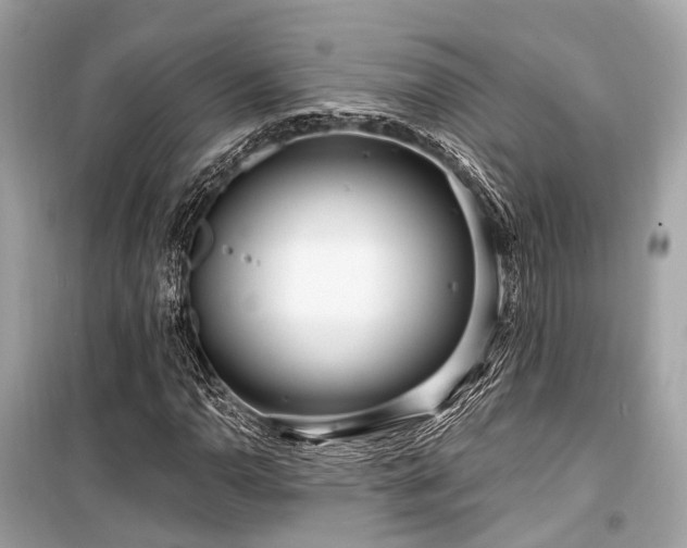 X0000099581110200805161228