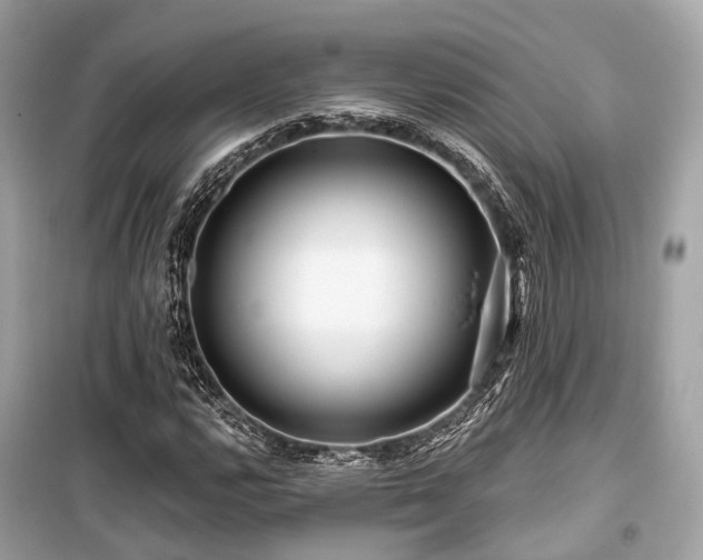 X0000099581112200805161228