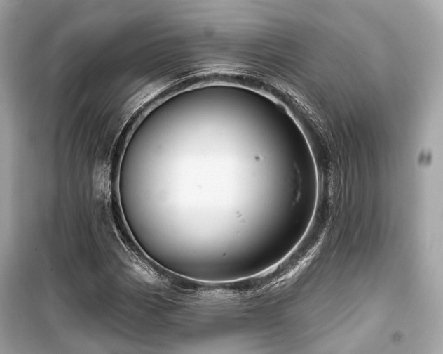 X0000099581113200805161228